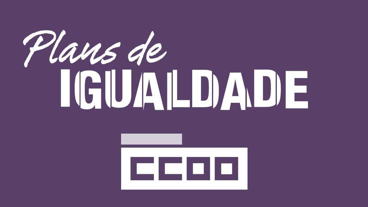 Para CCOO, os plans de igualdade son ferramenta necesaria na accin sindical
