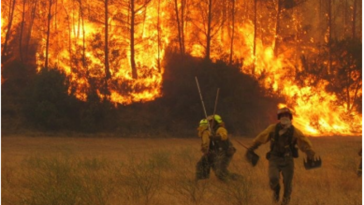 Incendio forestal.