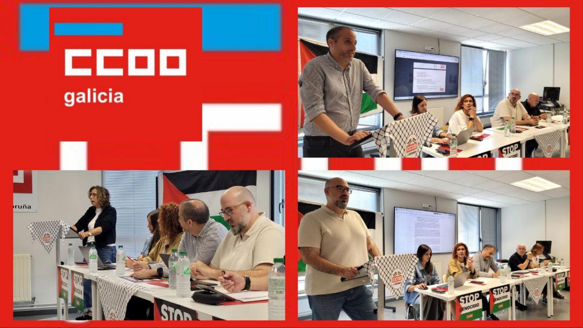 Interveniente Consello Federación de Servizos Galicia