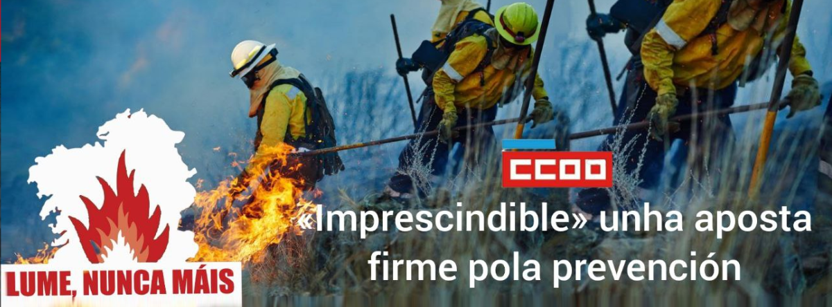 Galicia sofre un desastre ecolxico