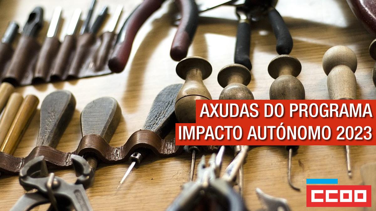 Axudas do programa Impacto Autnomo 2023