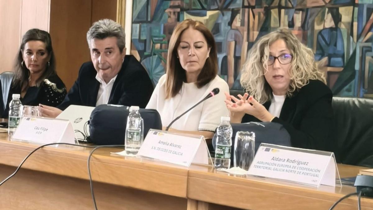 Intervención de Amelia Pérez, secretaria xeral de CCOO, na reunión do EURES-T